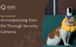 Staying Connected: Accompanying Your Pet Through Security Cameras