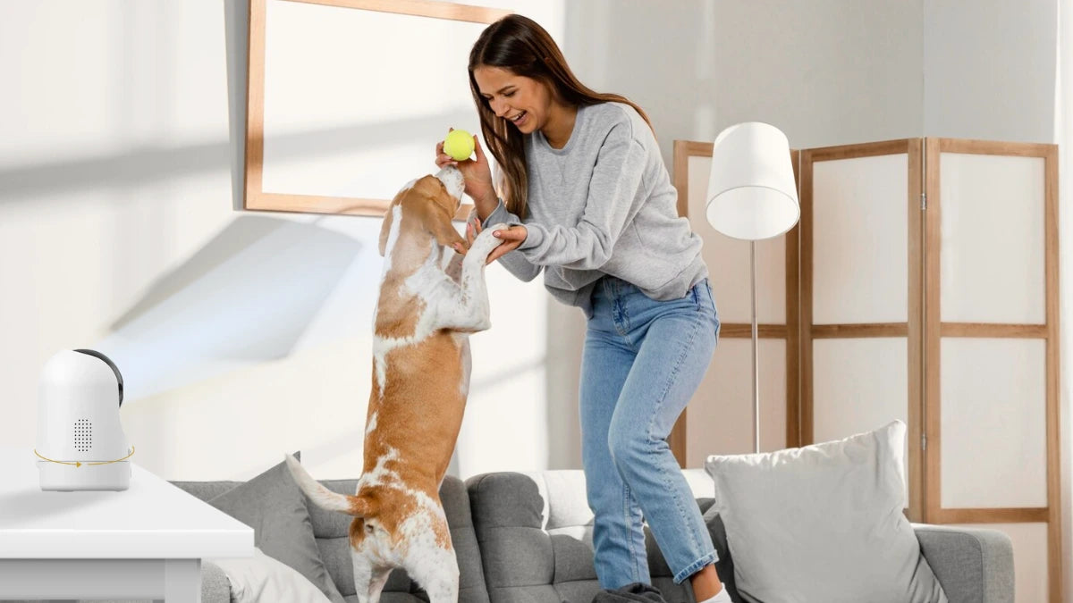 The Power of Smart Security: Motion Detection in Modern Cameras – Qsee
