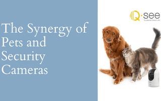 The Synergy of Pets and Security Cameras
